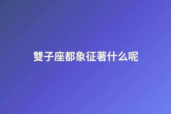 雙子座都象征著什么呢-第1張-星座運勢-玄機派