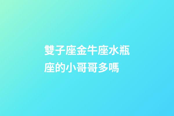 雙子座金牛座水瓶座的小哥哥多嗎