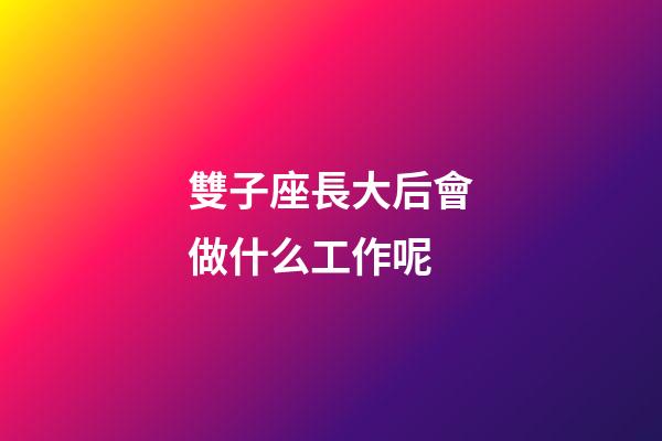 雙子座長大后會做什么工作呢