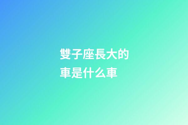 雙子座長大的車是什么車-第1張-星座運勢-玄機派