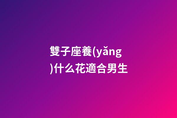 雙子座養(yǎng)什么花適合男生