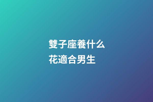 雙子座養什么花適合男生