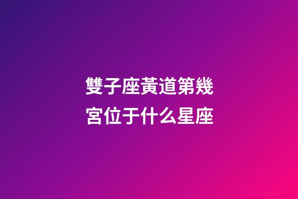 雙子座黃道第幾宮位于什么星座-第1張-星座運勢-玄機派