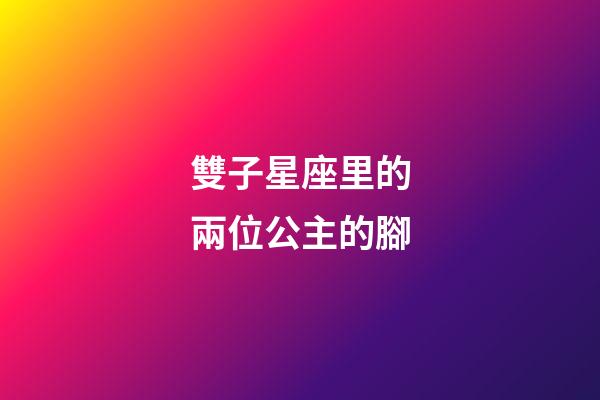 雙子星座里的兩位公主的腳-第1張-星座運勢-玄機派
