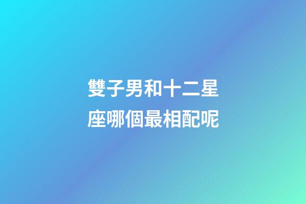 雙子男和十二星座哪個最相配呢-第1張-星座運勢-玄機派