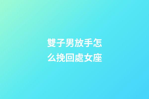 雙子男放手怎么挽回處女座-第1張-星座運勢-玄機派