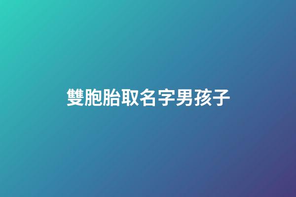 雙胞胎取名字男孩子(雙胞胎取名字男孩子)-第1張-男孩起名-玄機派