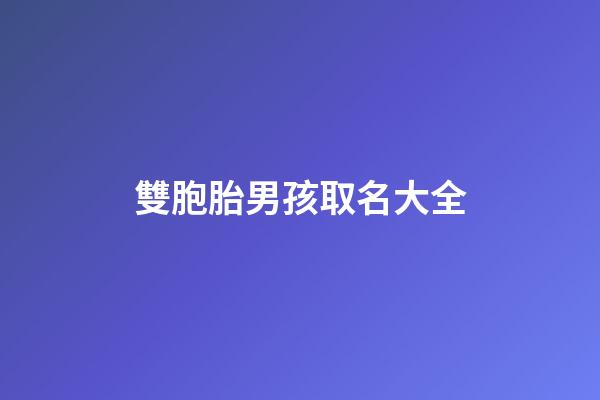 雙胞胎男孩取名大全(雙胞胎男孩取名大全免費)-第1張-男孩起名-玄機派