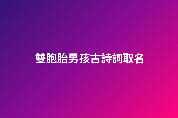 雙胞胎男孩古詩詞取名(雙胞胎男孩古詩詞取名字)-第1張-男孩起名-玄機派