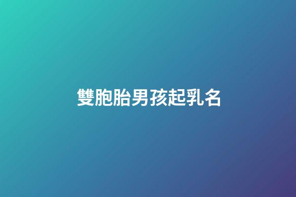 雙胞胎男孩起乳名(雙胞胎男孩乳名大全)-第1張-男孩起名-玄機(jī)派