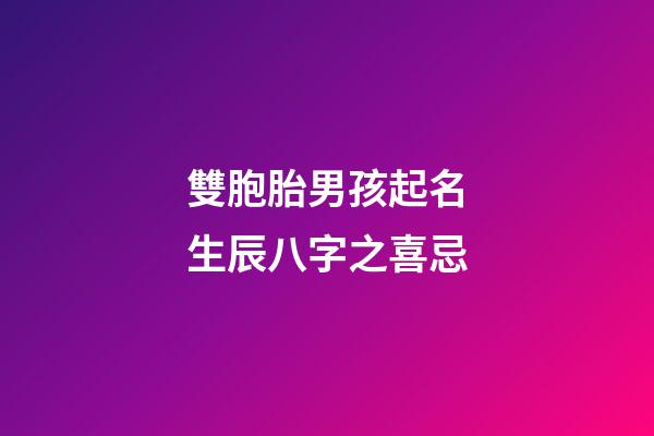 雙胞胎男孩起名生辰八字之喜忌