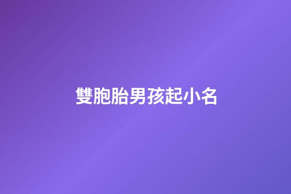 雙胞胎男孩起小名(雙胞胎男孩起小名叫什么)-第1張-男孩起名-玄機派