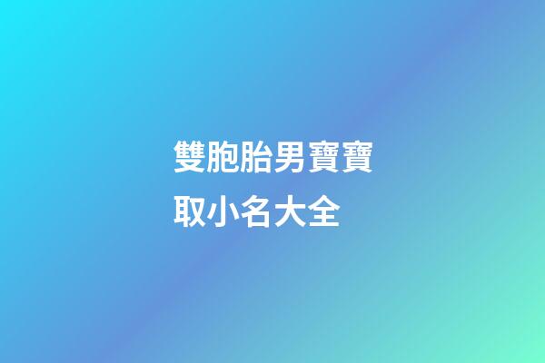 雙胞胎男寶寶取小名大全(雙胞胎男孩小名字大全2023)-第1張-男孩起名-玄機派