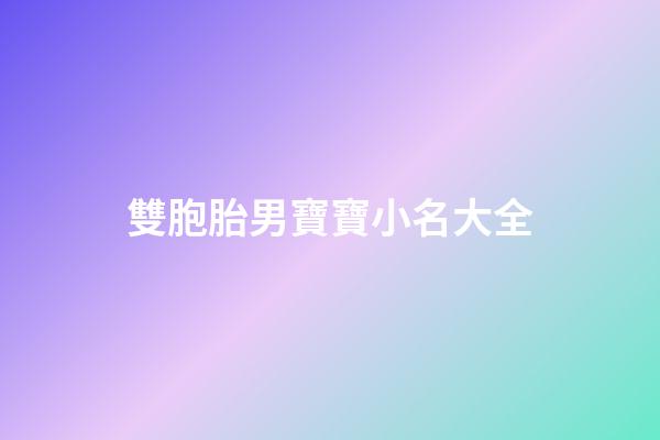 雙胞胎男寶寶小名大全(雙胞胎男寶寶小名大全2023洋氣)-第1張-男孩起名-玄機派