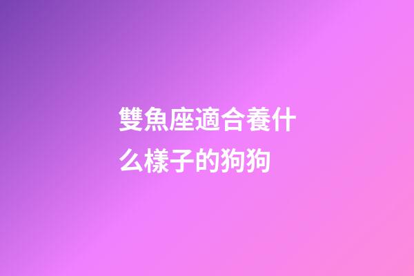 雙魚座適合養什么樣子的狗狗-第1張-星座運勢-玄機派