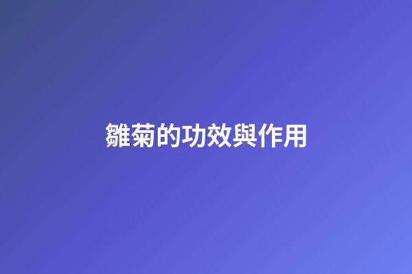 雛菊的功效與作用