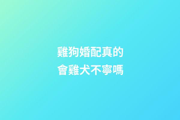 雞狗婚配真的會雞犬不寧嗎