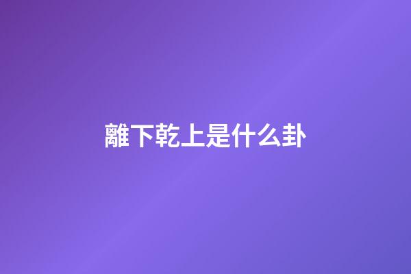 離下乾上是什么卦