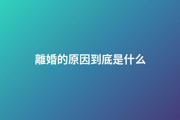 離婚的原因到底是什么