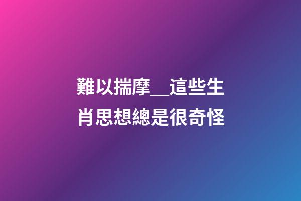 難以揣摩＿這些生肖思想總是很奇怪