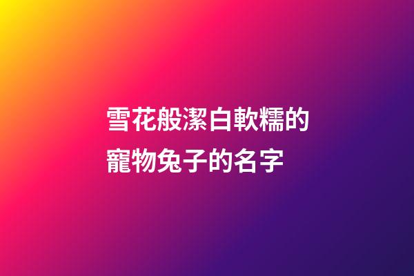 雪花般潔白軟糯的寵物兔子的名字