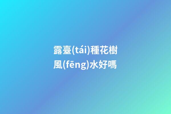 露臺(tái)種花樹風(fēng)水好嗎