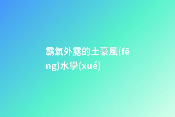 霸氣外露的土豪風(fēng)水學(xué)
