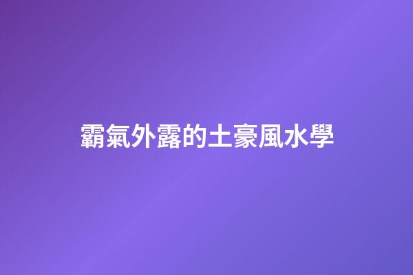 霸氣外露的土豪風水學