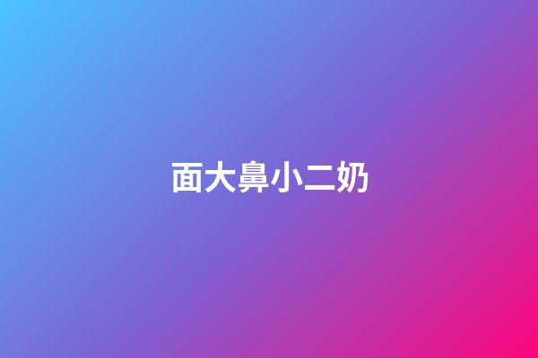 面大鼻小二奶