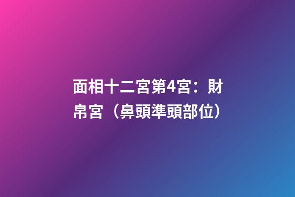 面相十二宮第4宮：財帛宮（鼻頭準頭部位）