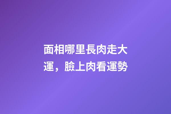 面相哪里長肉走大運，臉上肉看運勢