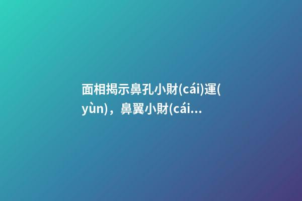 面相揭示鼻孔小財(cái)運(yùn)，鼻翼小財(cái)運(yùn)