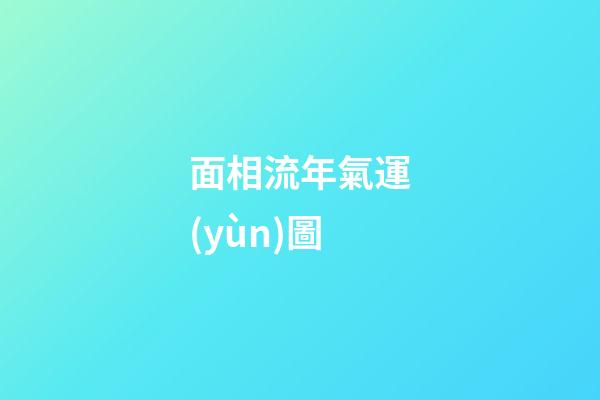 面相流年氣運(yùn)圖