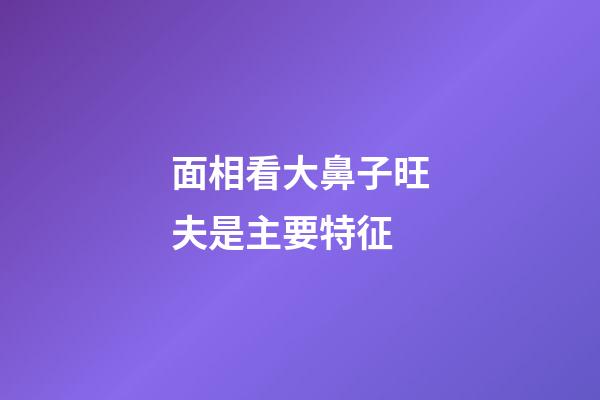 面相看大鼻子旺夫是主要特征