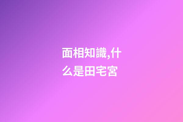 面相知識,什么是田宅宮