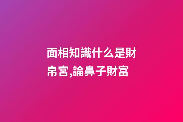 面相知識什么是財帛宮,論鼻子財富
