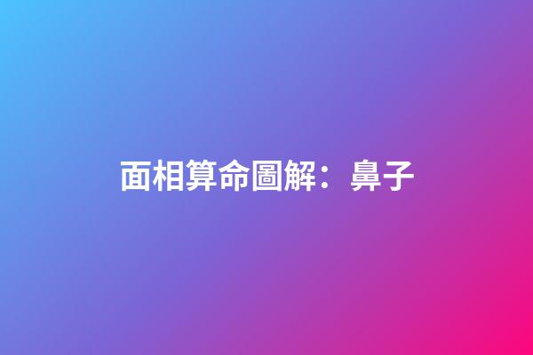 面相算命圖解：鼻子
