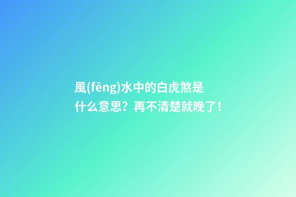 風(fēng)水中的白虎煞是什么意思？再不清楚就晚了！