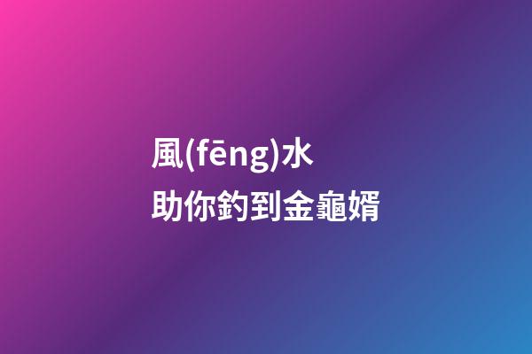 風(fēng)水助你釣到金龜婿