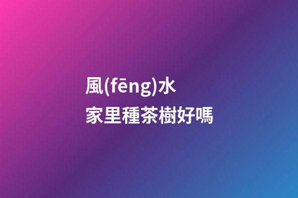 風(fēng)水家里種茶樹好嗎