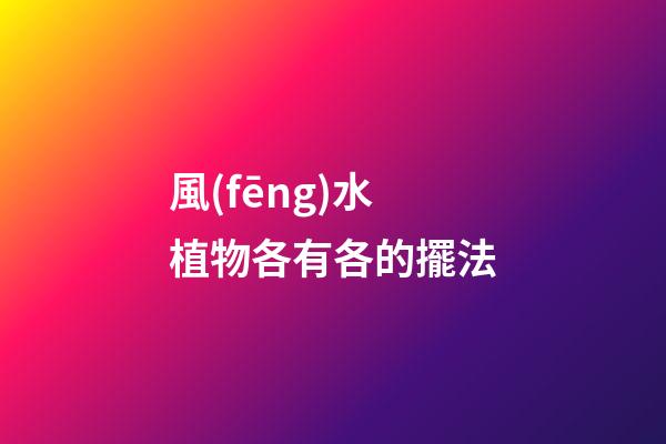 風(fēng)水植物各有各的擺法