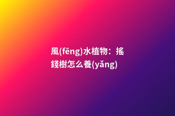 風(fēng)水植物：搖錢樹怎么養(yǎng)