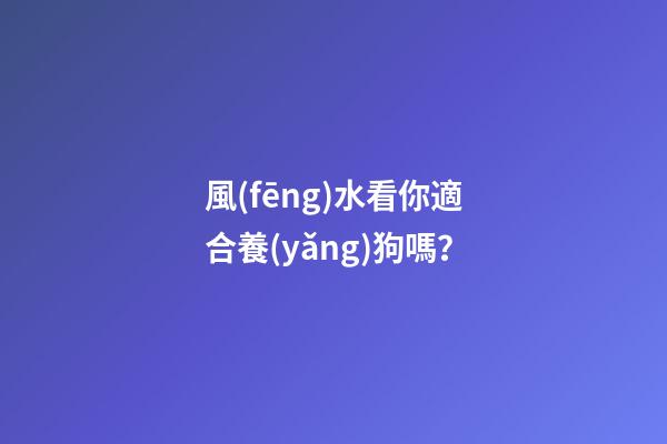風(fēng)水看你適合養(yǎng)狗嗎？