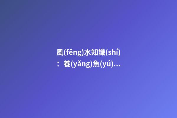 風(fēng)水知識(shí)：養(yǎng)魚(yú)6大風(fēng)水禁忌