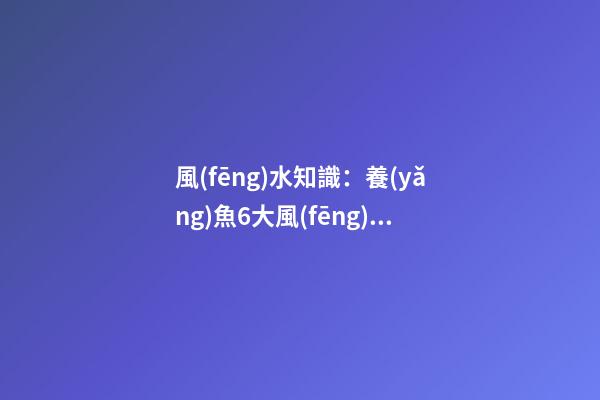 風(fēng)水知識：養(yǎng)魚6大風(fēng)水禁忌