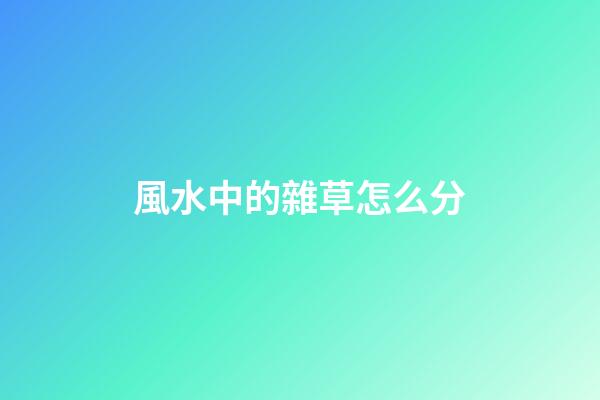 風水中的雜草怎么分