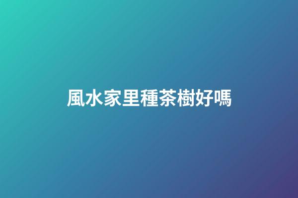風水家里種茶樹好嗎