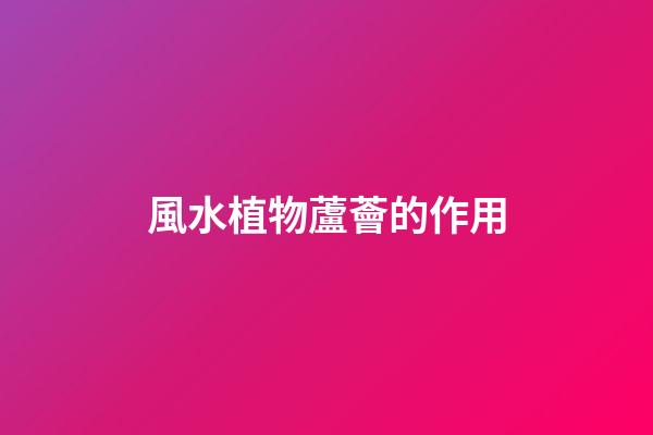 風水植物蘆薈的作用