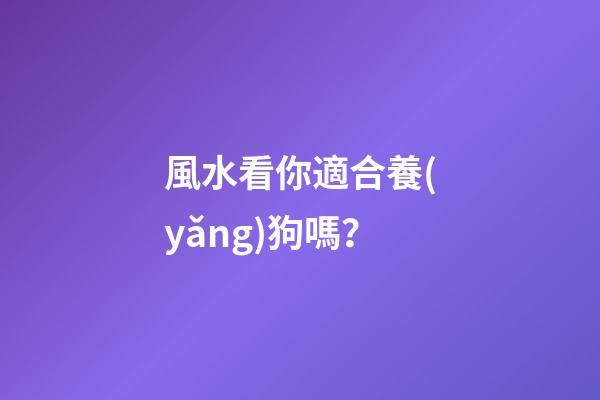 風水看你適合養(yǎng)狗嗎？