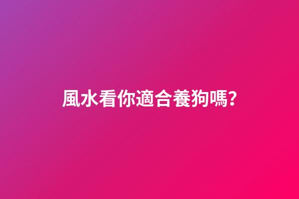 風水看你適合養狗嗎？